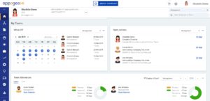 Appogee HR Team Dashboard