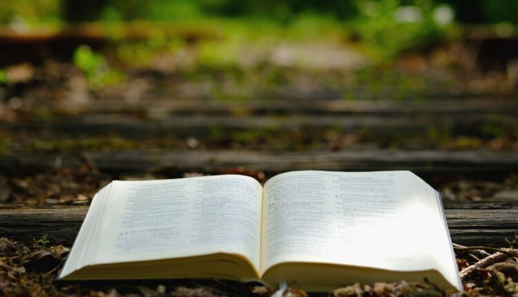 Trinity-Infosys Applied Learning Initiative Expands to Prepare Talent for Tomorrow’s Digital Workplace