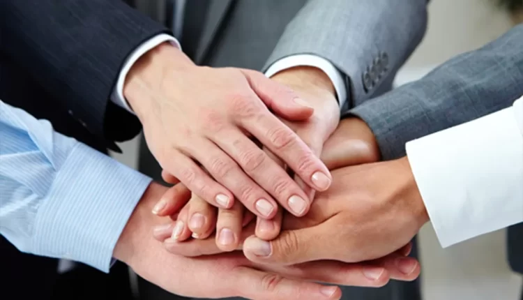 Long Term Incentive Plans for Executive Management and Other Key Employees in Pandora